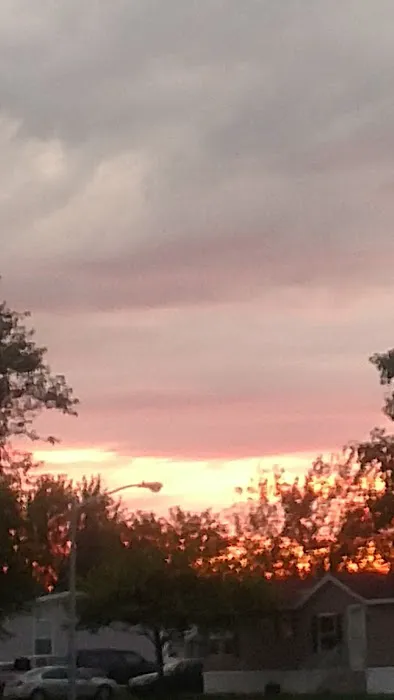 Allendale Meadows Picture 5