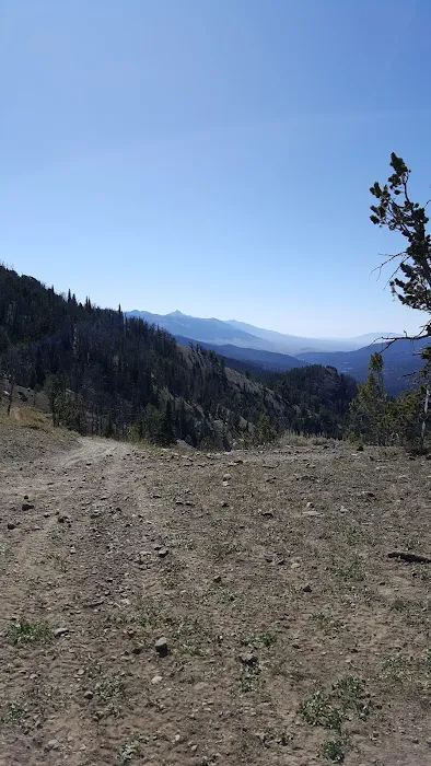 Timber Creek Campground Picture 6