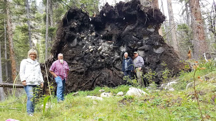 Timber Creek Campground Picture 9