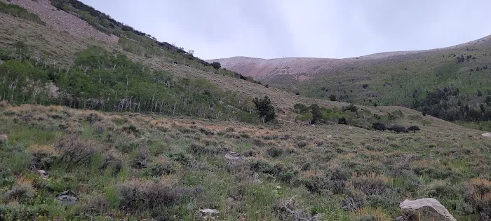 Timber Creek Campground Picture 8