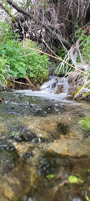 Timber Creek Campground Picture 4