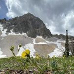 Meadow Lake Campground