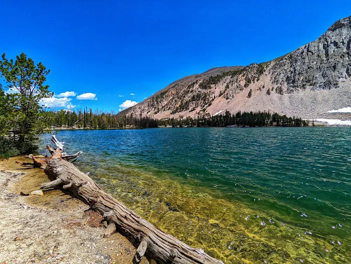 Meadow Lake Campground Picture 3