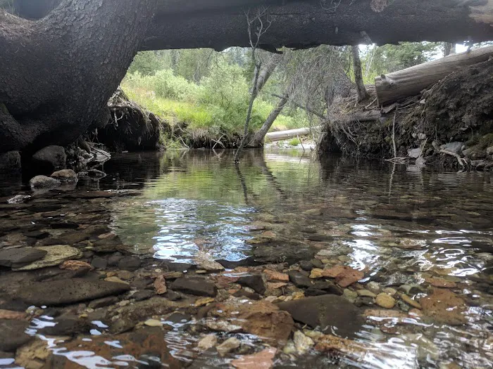 Mill Creek Campground Picture 7