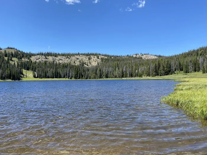 Big Bayhorse Campground Picture 7