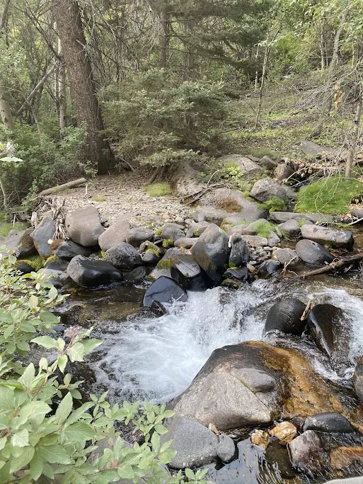 Big Bayhorse Campground Picture 4