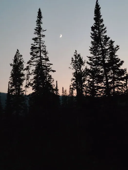 Big Bayhorse Campground Picture 5