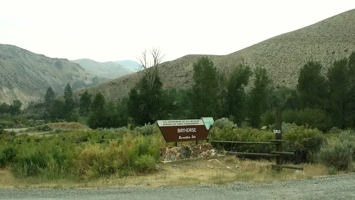 Big Bayhorse Campground Picture 8