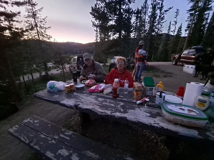 Big Bayhorse Campground Picture 10