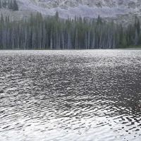 Little Bayhorse Lake Campground ico