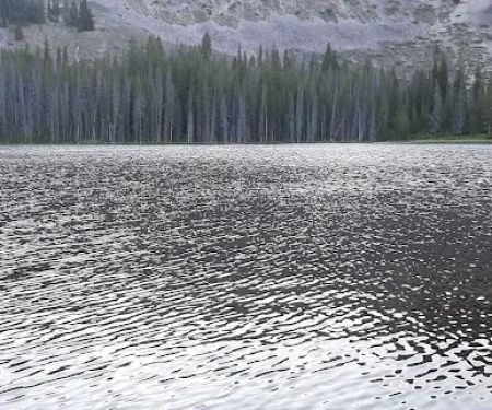 Little Bayhorse Lake Campground