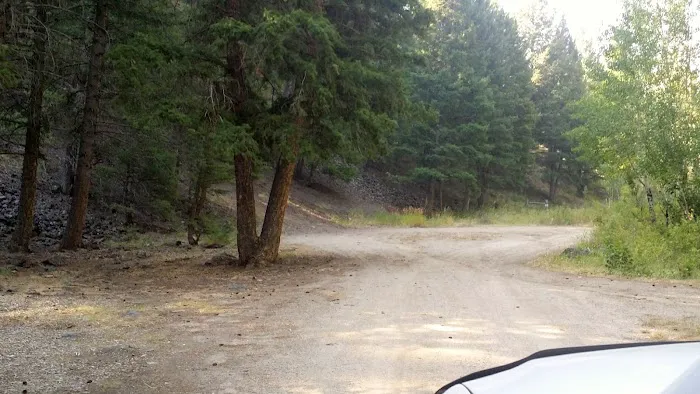 Holman Creek Campground Picture 4