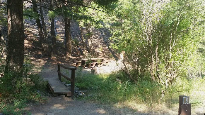 Holman Creek Campground Picture 5
