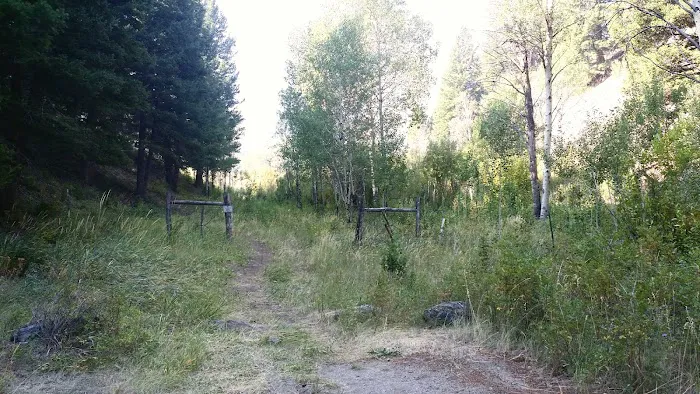 Holman Creek Campground Picture 7