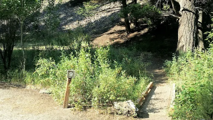 Holman Creek Campground Picture 6