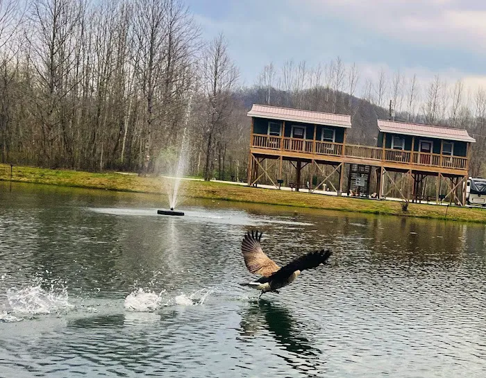 Sheltowee RV Park & Cabins Picture 3