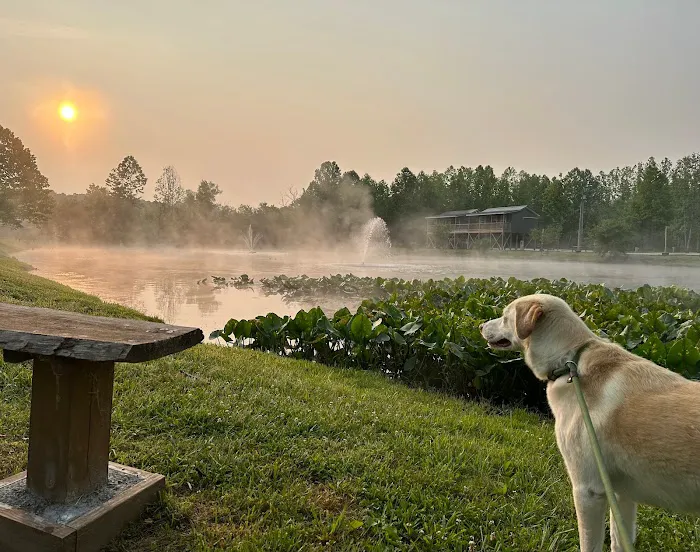 Sheltowee RV Park & Cabins Picture 2