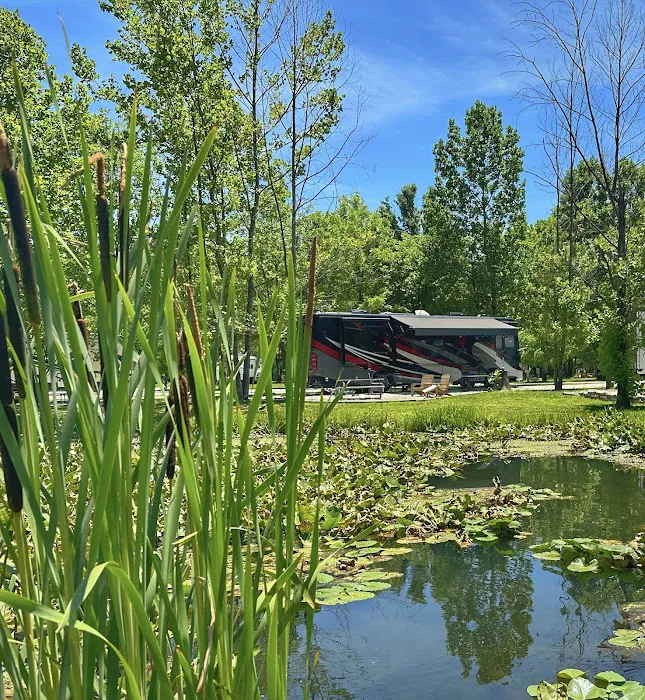 Sheltowee RV Park & Cabins Picture 5