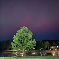 Sheltowee RV Park & Cabins ico