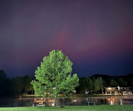 Sheltowee RV Park & Cabins