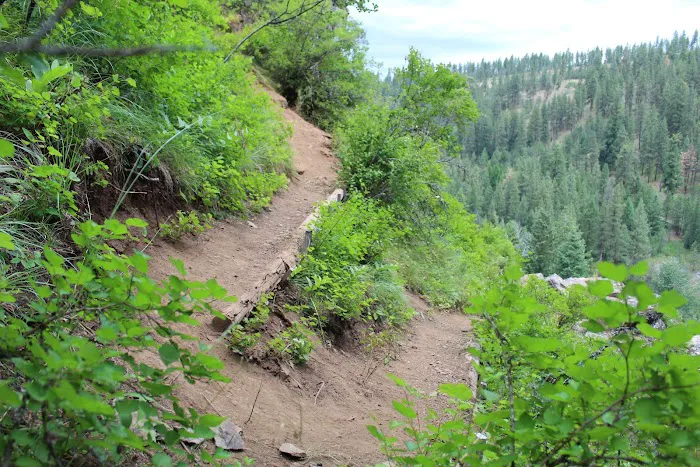 The Forge at Catherine Creek Picture 7