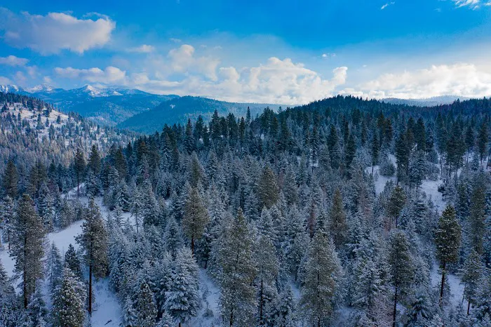 The Forge at Catherine Creek Picture 9