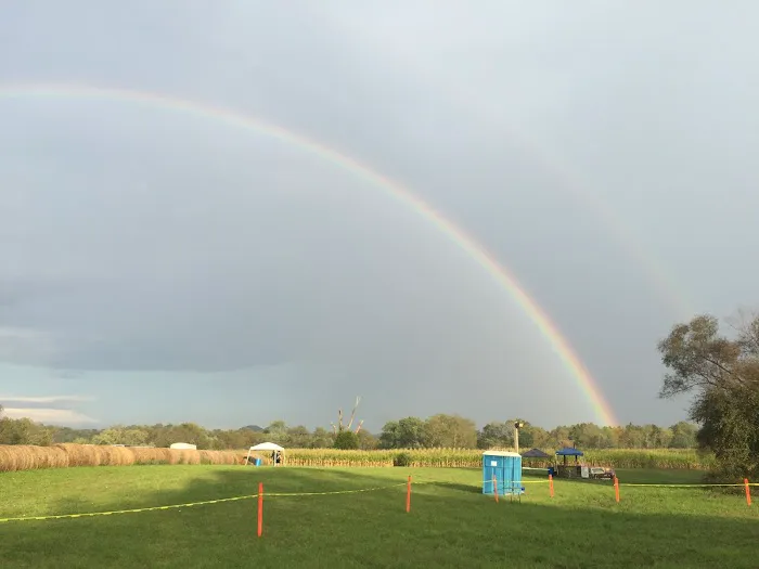 The Ole Cornfield Picture 2