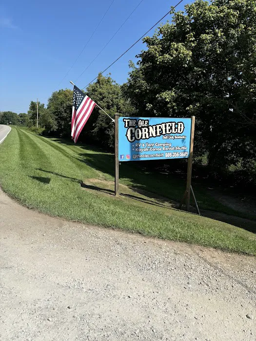 The Ole Cornfield Picture 7