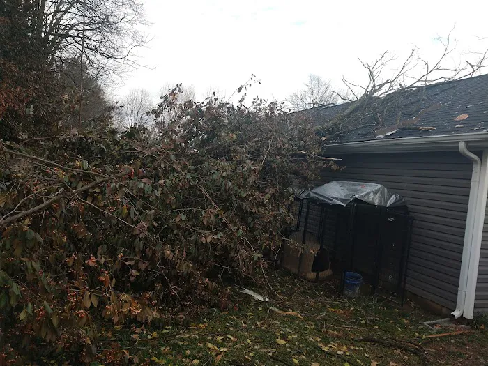 Parkers Mobile Home Park Picture 2