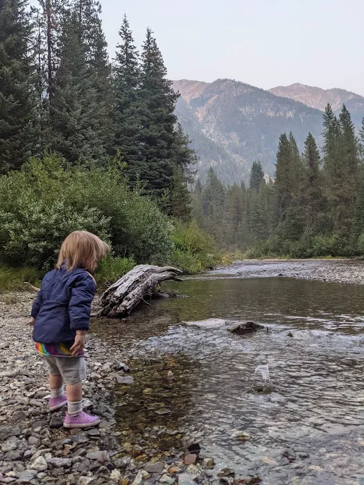 Turkey Flat Forest Camp Picture 1