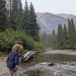 Turkey Flat Forest Camp