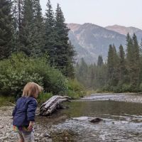 Turkey Flat Forest Camp ico