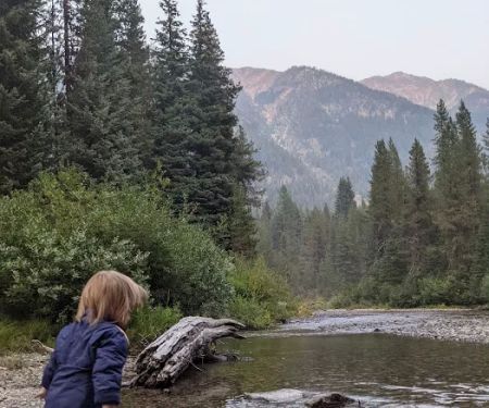 Turkey Flat Forest Camp