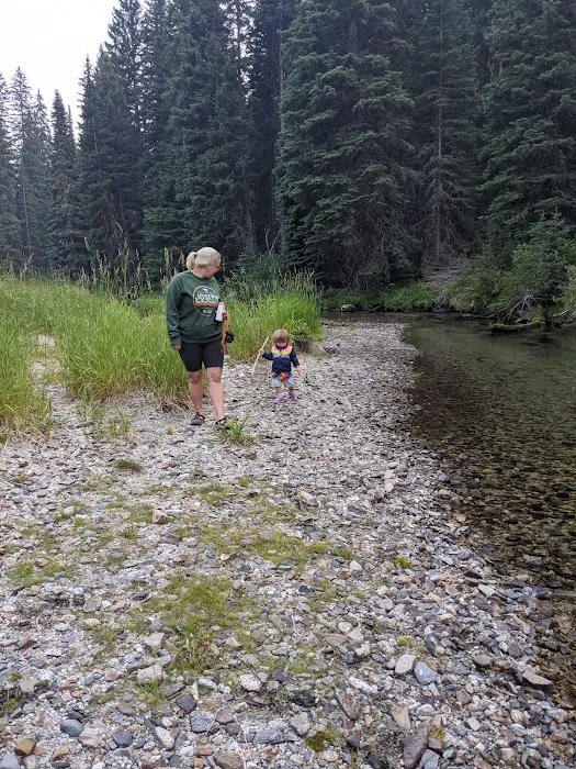 Turkey Flat Forest Camp Picture 2