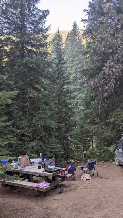 Turkey Flat Forest Camp Picture 3