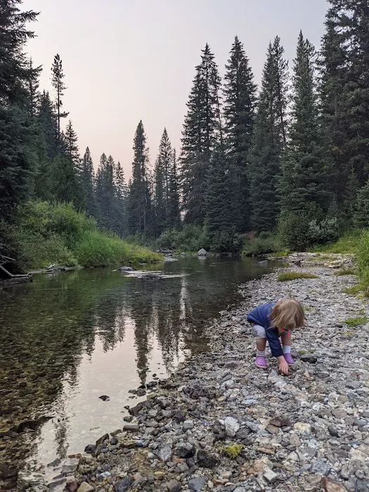 Turkey Flat Forest Camp Picture 5