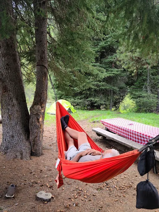 Turkey Flat Forest Camp Picture 6