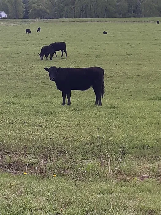 Kenneth McCoy Mobile Home Park Picture 2