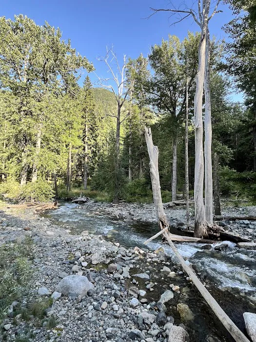 Creating Memories For Disabled Children Picture 5