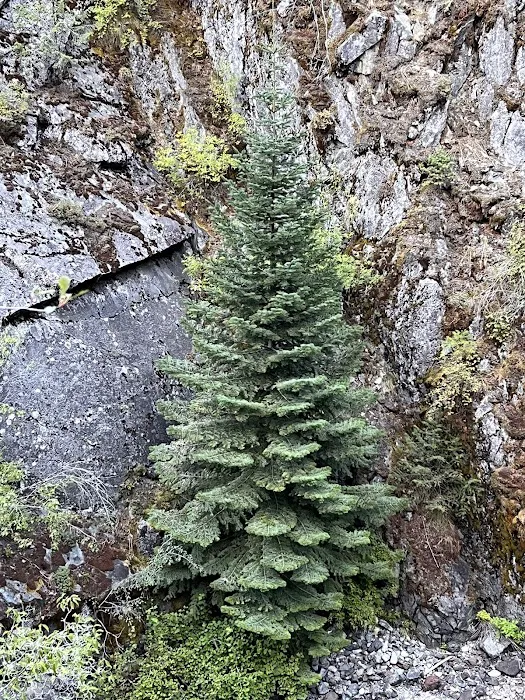 Creating Memories For Disabled Children Picture 4