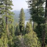 Snowmobile Parking Campground