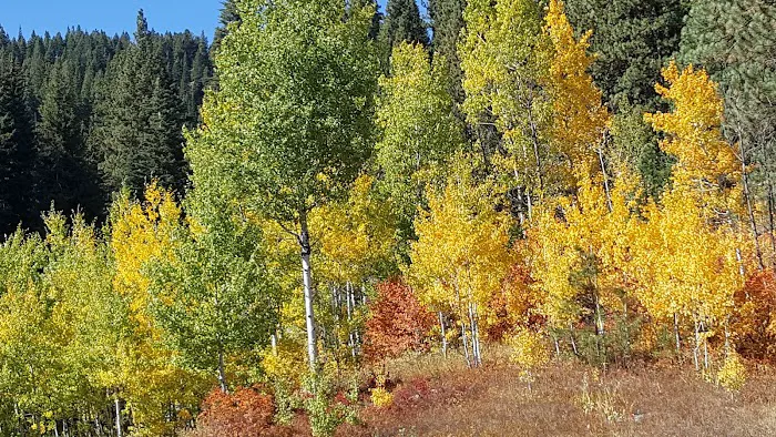 Snowmobile Parking Campground Picture 2