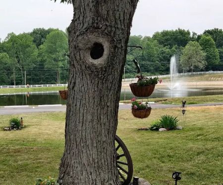 Echo Lake Manufactured Home Community