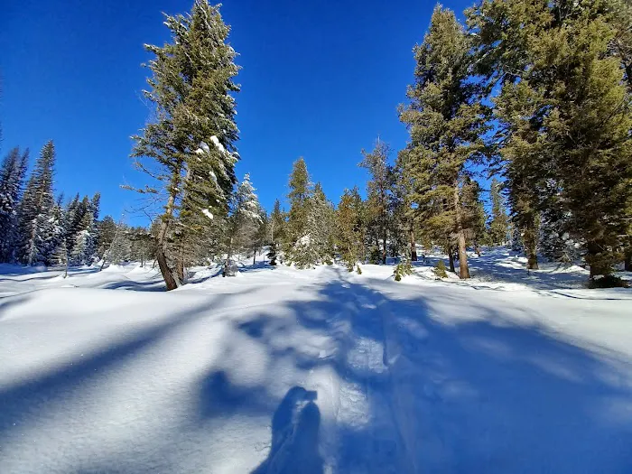 Whoop Um Up Equestrian Campground Picture 2