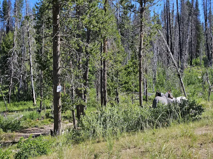 Whoop Um Up Equestrian Campground Picture 6
