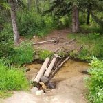 Edna Creek Campground