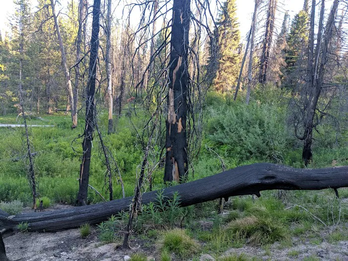 Edna Creek Campground Picture 10