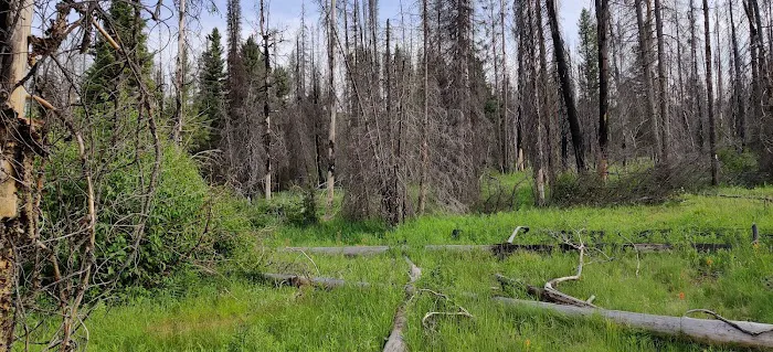 Edna Creek Campground Picture 2