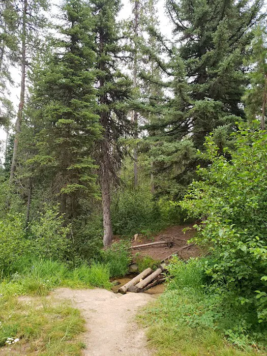 Edna Creek Campground Picture 5