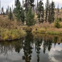 Beaver Creek Cabin ico